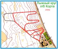 Первенства г. Йошкар-Олы по лыжным гонкам Первенства г. Йошкар-Олы по лыжным гонкам